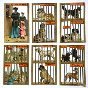 Un ensemble de Six Victorian Scraps par Perry & Co. Limited.  Le Dog Show. Taille: 11,7 x 7,5 cms