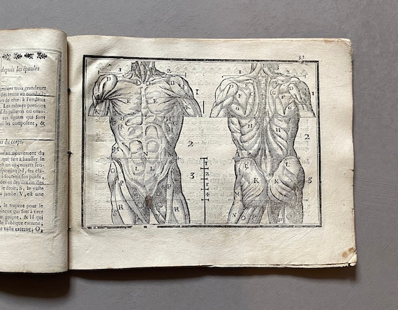 Dessiner l’Antique L'art De Dessiner. the Art of Drawing. by Jean Cousin. With 28