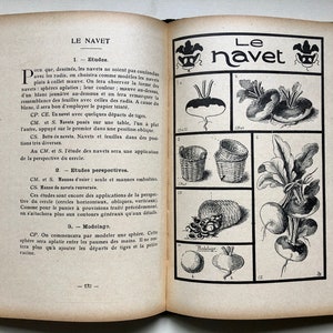 Peut inclure: Une page de livre vintage avec des illustrations de navets, de paniers et de feuilles. Le texte sur la page est "Le Navet" qui signifie "Le Navet" en français.