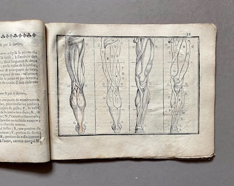 L'art De Dessiner. the Art of Drawing. by Jean Cousin. With