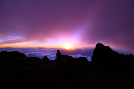 Mount Haleakala Maui Hawaii Sunset Photography Print. Mountain Cloud Fine  Art Photo Above the White Clouds Pink Purple Rainbow Sky Image 