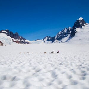 May include: A group of people stand on a snowy glacier with a line of dogs pulling a sled in the distance. The glacier is surrounded by snow-capped mountains and a bright blue sky.