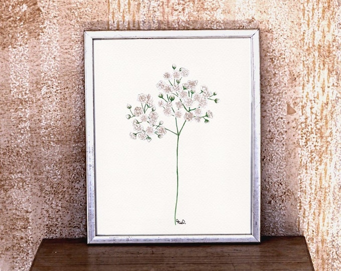 Print Gypsophila