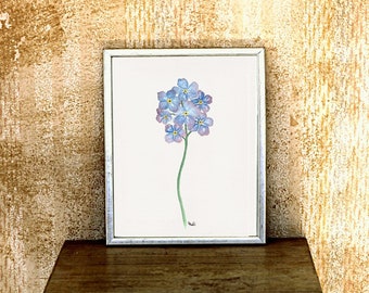 Print forget-me-nots