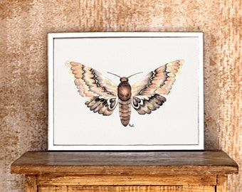 Print moth