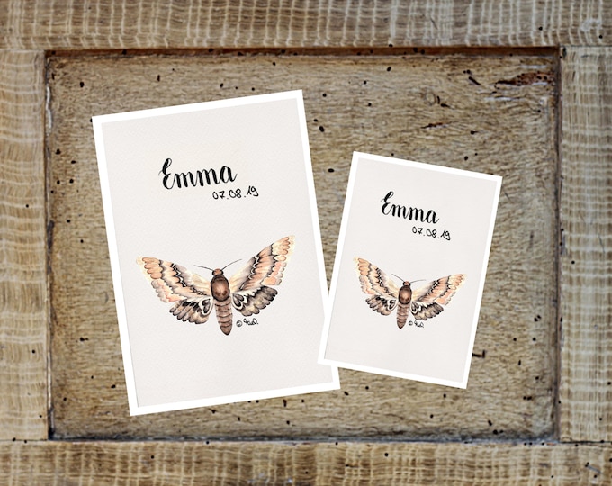 U booklet/travel/vaccination card cover moth