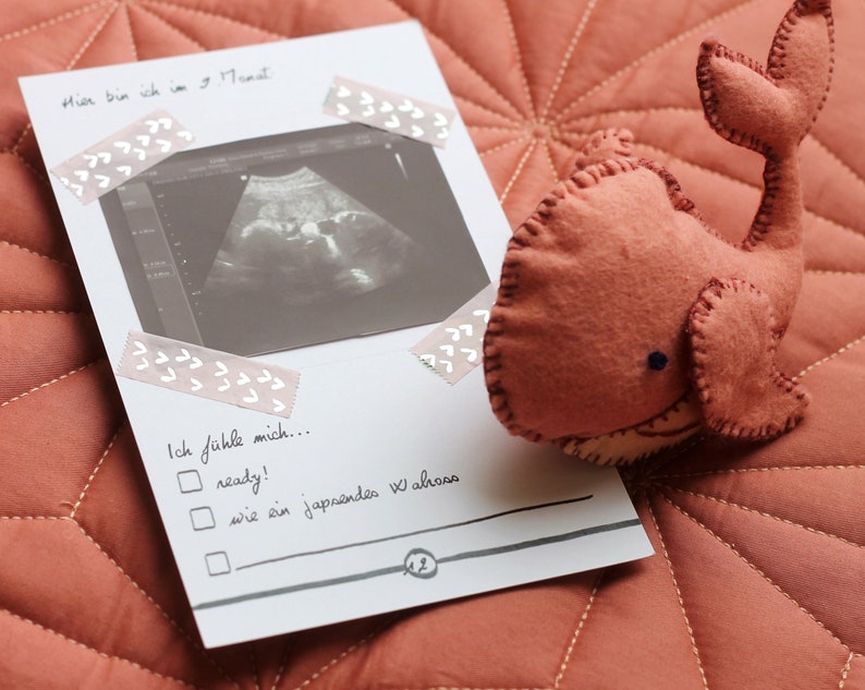Kugelzeit-Kiste Schwangerschafts Journal Tagebuch Karten Bild 4