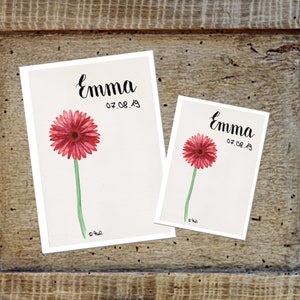 U libretto/copertina tessera di viaggio/vaccinazione gerbera