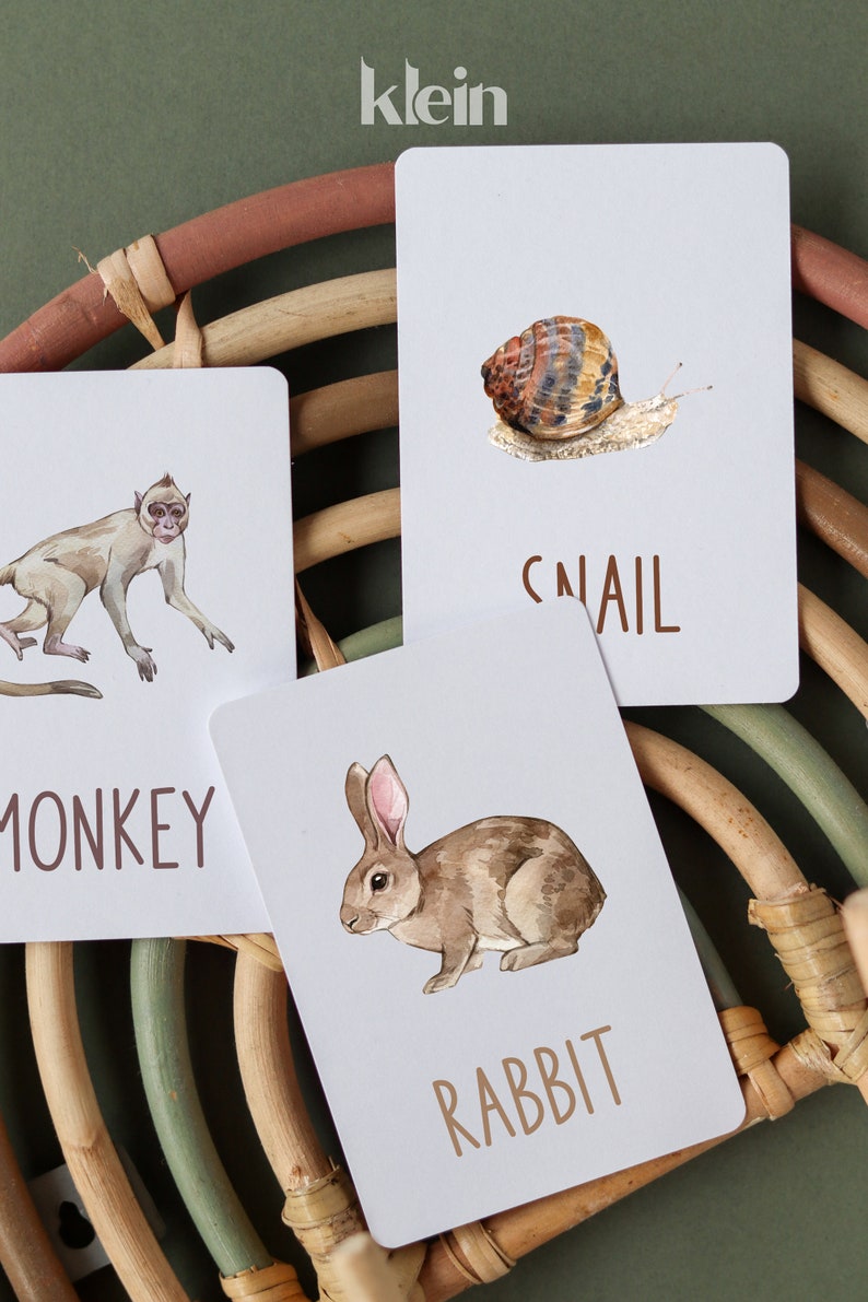 Animal Flash Cards | Montessori Homeschool Printable (instant Download ...