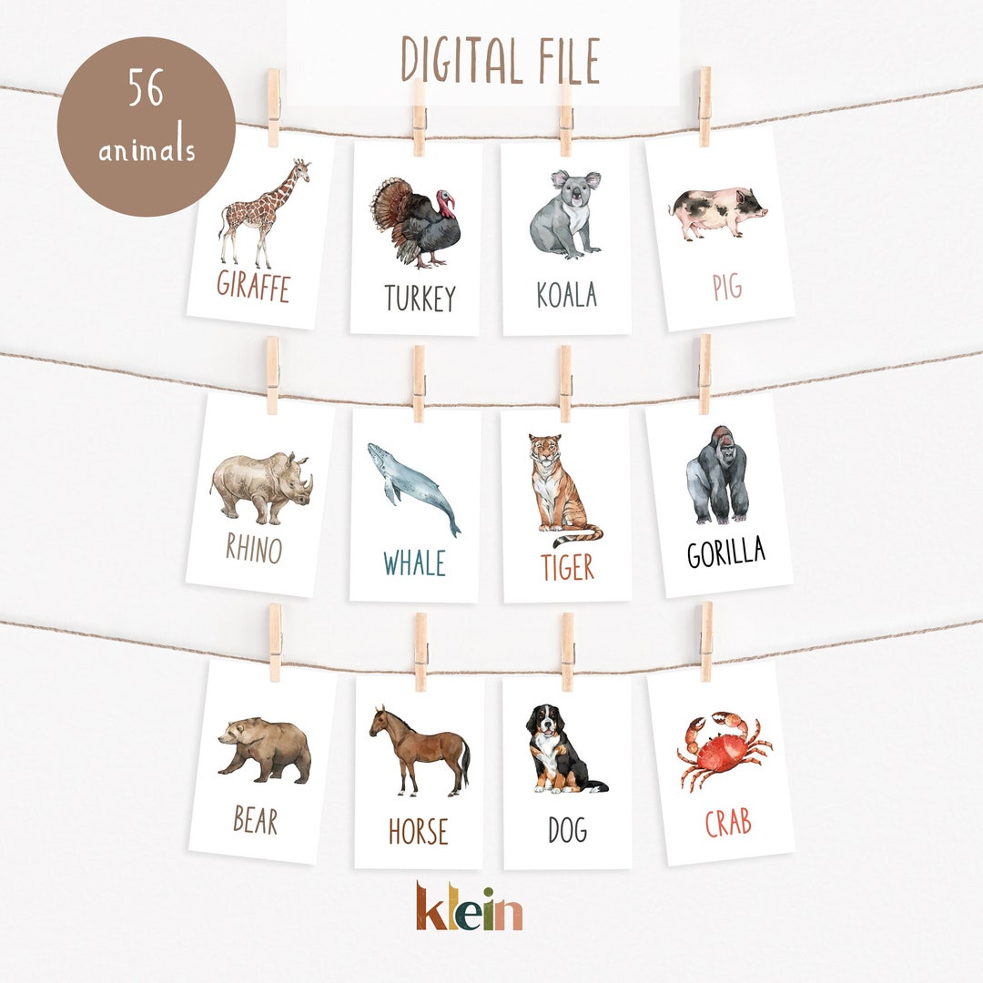 Animal Flash Cards | Montessori Homeschool Printable (instant Download ...