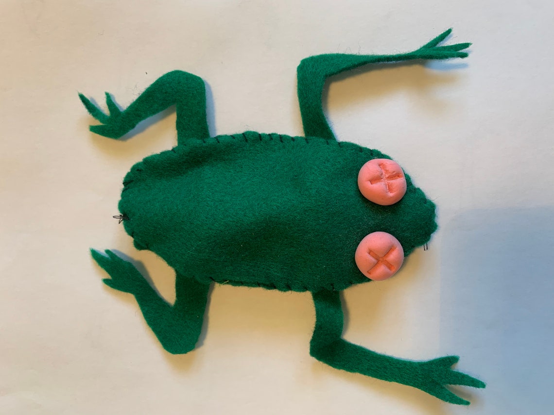 Felt Frog Dissection Toy Etsy