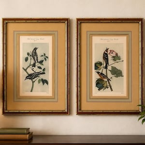 May include: Two framed botanical prints featuring detailed illustrations of birds perched on branches with leaves. The prints are in ornate, dark brown frames with a gold inner border. The artwork has a vintage aesthetic, suitable for home decor.