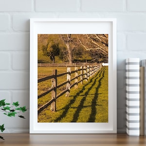 May include: A wooden fence stretches across a grassy field, with long shadows cast by the afternoon sun. Trees line the horizon, adding depth to the rural scene.