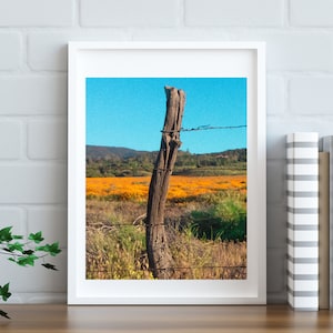 Super Bloom POPPY FIELDS Photography (11x17 Print Digital Download)