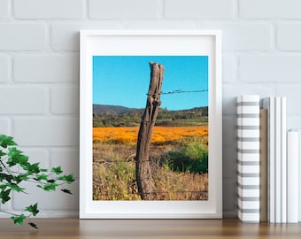 Super Bloom POPPY FIELDS Fotografie (11 x 17 Druck digitaler Download)