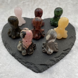 Peut inclure: Huit petites figurines d'octopus sculptées dans différents types de pierre, dont le rose, le rouge, le vert, le jaune, le noir et le gris. Les figurines sont disposées sur une plaque de schiste en forme de cœur.