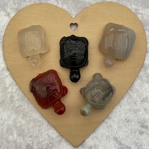 Mini Crystal tortoises