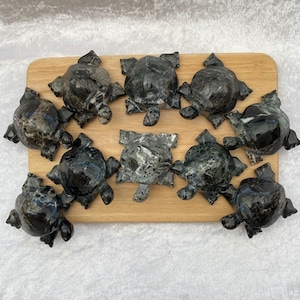 Black Marble turtles