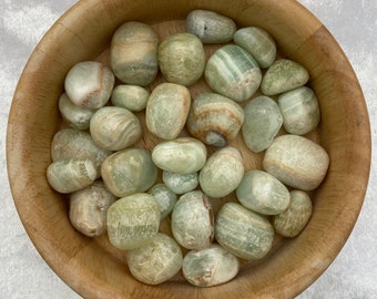 Pistache calciet bekers