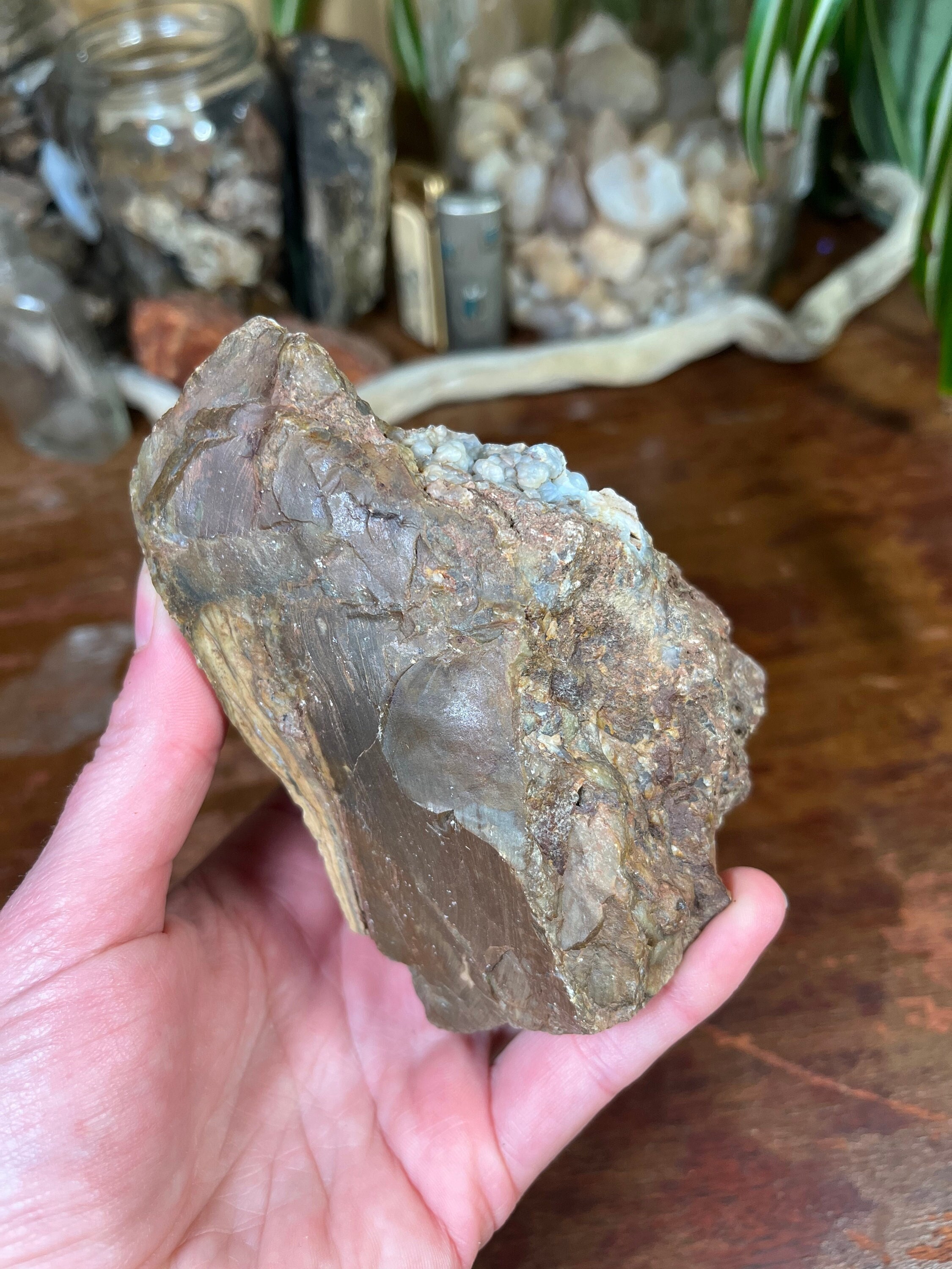 Limb Cast With Jasper and Agate * - Etsy