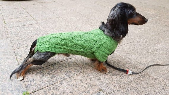 green dog jumper