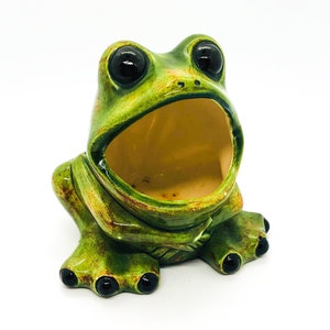 Vintage Frog Sponge Holder, Sponge Holder, Retro Frog, Ceramic Frog, Frog  Sponge Holder, 1970s Decor, Eclectic Decor 