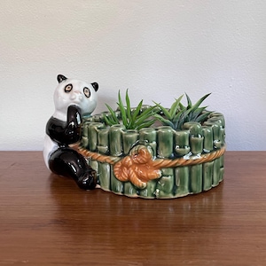 Puede incluir: Una maceta de cerámica con un panda y un diseño de bambú verde. El panda es blanco y negro y parece estar agarrado a la maceta. La maceta contiene varias plantas verdes pequeñas. La maceta está sobre una superficie de madera.