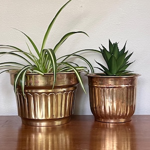 May include: Two polished copper planters with vertical fluted detailing along the sides. The larger planter on the left contains a spider plant with long green and white striped leaves, while the smaller planter on the right holds a succulent.