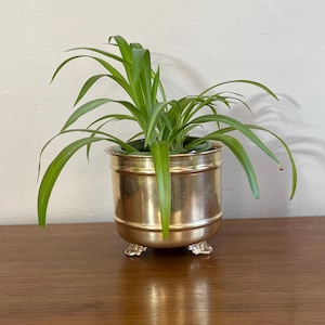 Vintage Brass Footed Plant Pot, Brass Planter, Mid Century Decor