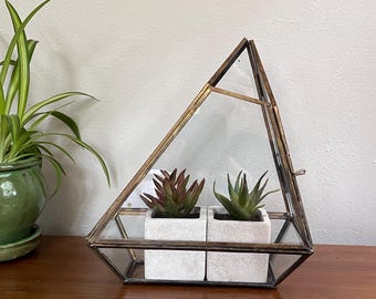 Terrario de cristal vintage, curiosidades, plantas, suculentas, rarezas, casa de curiosidades, vitrina
