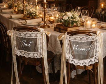 Just Married Mr & Mrs Wedding Chair Signs, Sheer Lace  Bride and Groom Sweetheart Table Sign Decor
