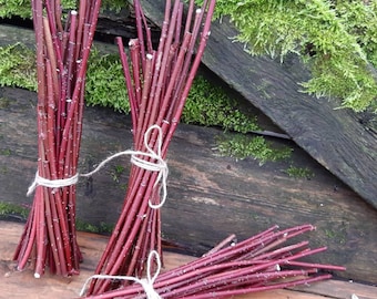 May include: Three bundles of thin, red, wooden sticks tied together with twine. The sticks are arranged in a fan shape and are lying on a wooden surface.