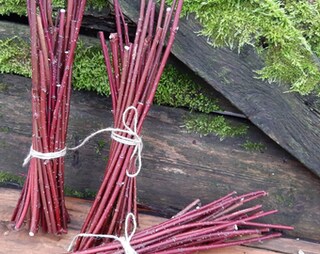 100 Bastoncini Di Legno Naturale Di Betulla Per Fai Da Te - 10 Cm, Rametti Per Artigianato, Decorazioni E Giardino Delle Fate