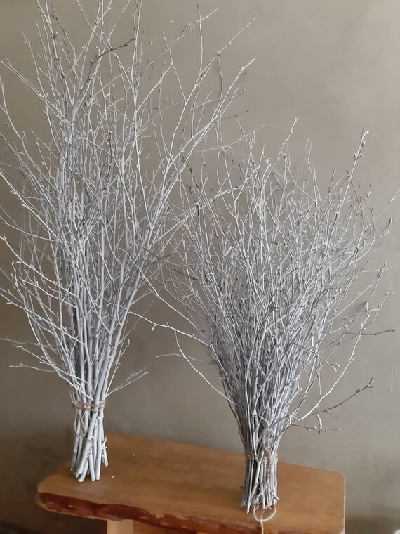 White Birch Twigs 30 Long Natural Wood Birch Branches Etsy