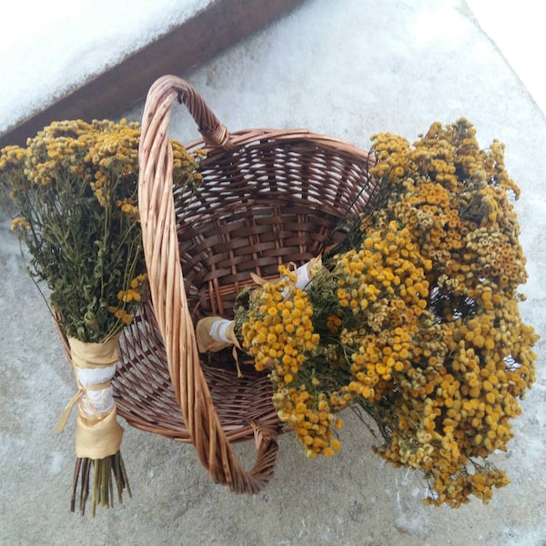 dried tansy dried yellow tansy herbs bunch dried flower bouquet dry medical herb herbal botanical collection natural flowers wild flowers