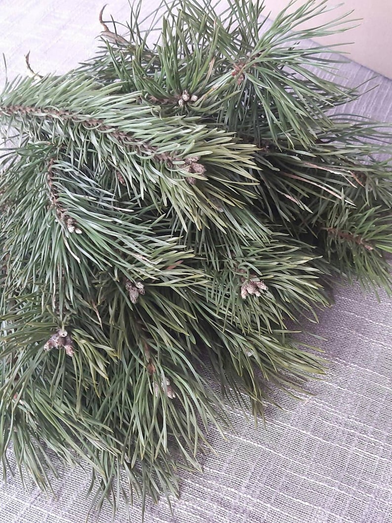 Green Pine Branches for Craft Mantel Garland Pine Green Etsy UK