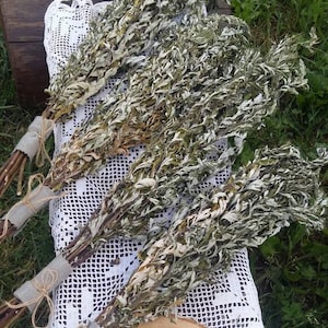 dried mugwort artemisia vulgaris incence cleanse healing herb ceremonial herbs witchcraft herb wild herbs alternative medicine heeling herbs