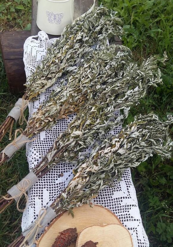 dried mugwort artemisia vulgaris incence cleanse healing herb ceremonial herbs witchcraft herb wild herbs alternative medicine heeling herbs
