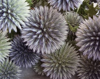 Dried Blue Globe Thistle bouquet dried flowers Echinops Green rustic bunch Boutonniere Flower Flowers Bouquets Wedding Floral DIY Ball Decor