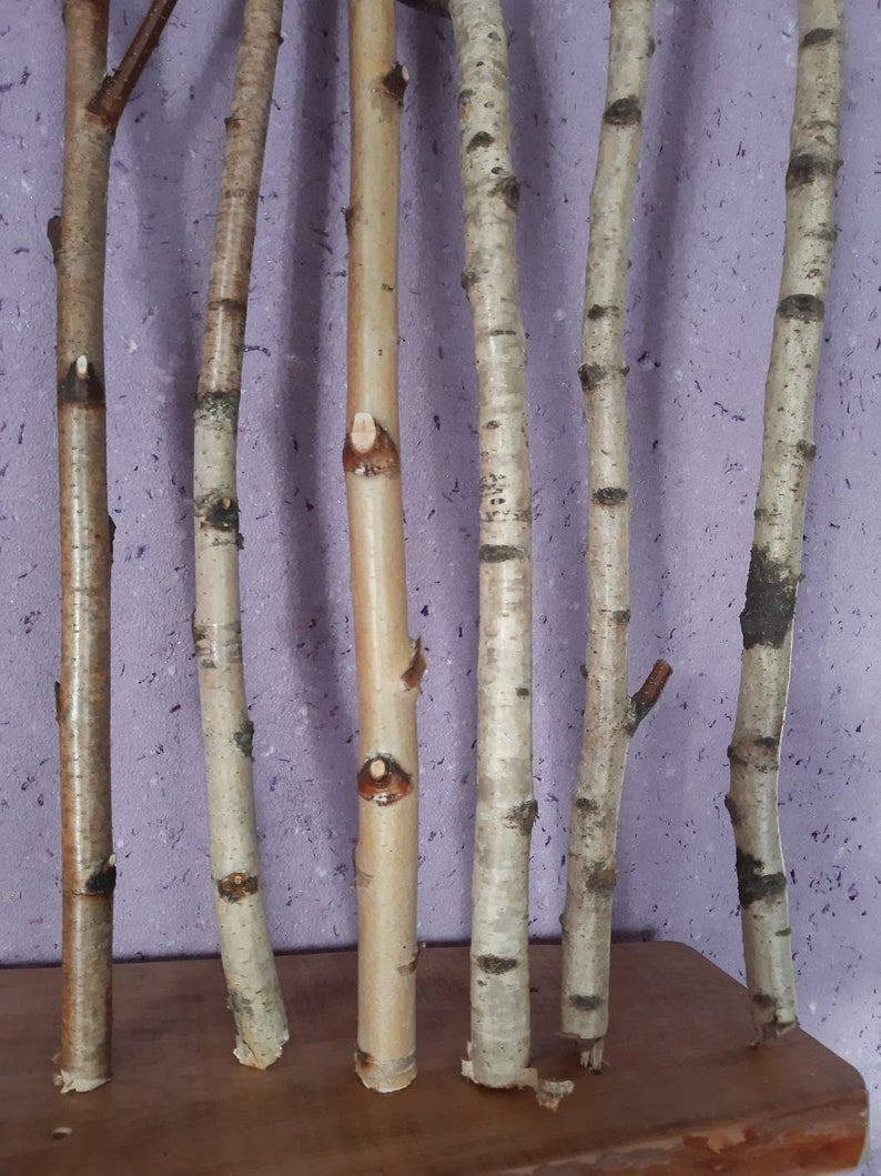 Set of 4 white birch branches 20 natural birch tree Etsy