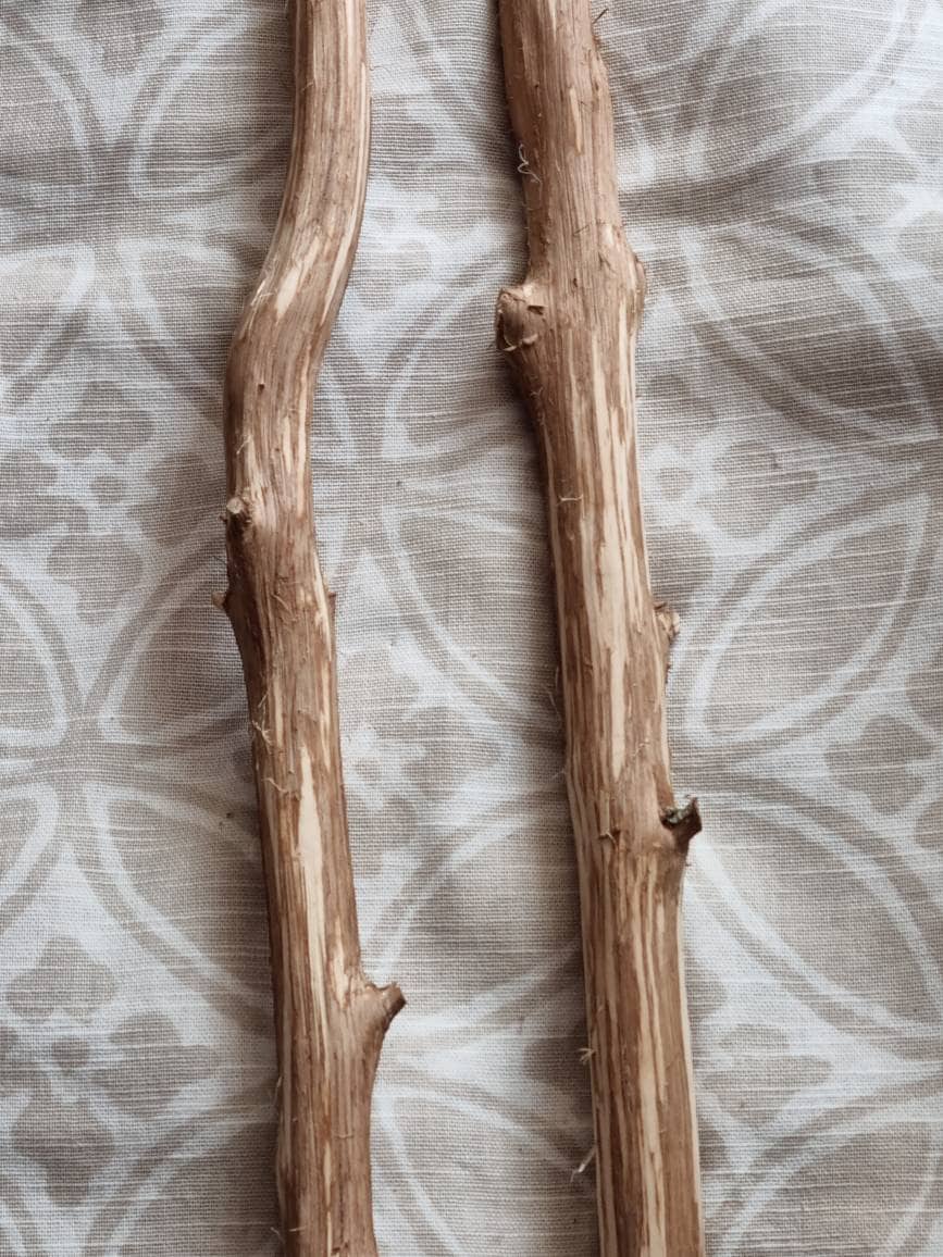 Peeled Craft Twigs Sticks Natural Wood Lilac Tree Branches Rustic