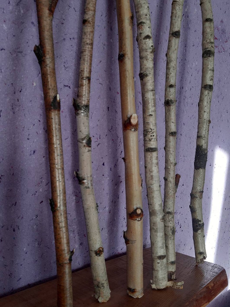 Set of 4 white birch branches 20 natural birch tree Etsy