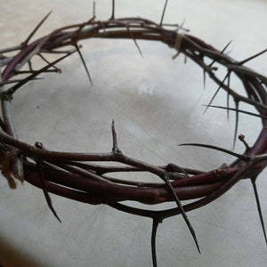 May include: A circular crown made of dark brown thorny branches. The thorns are long, sharp, and black, protruding from the branches. The crown is tied together with a light-colored twine.