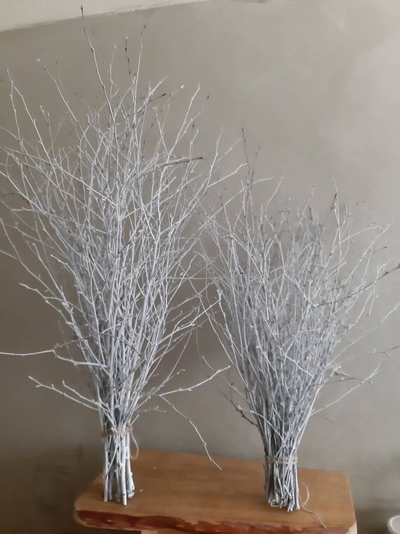 White Birch Twigs 30 Long Natural Wood Birch Branches Etsy