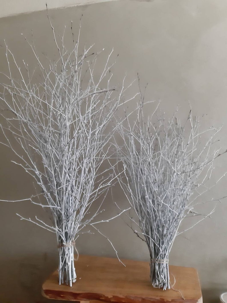 White birch twigs 30 long natural wood birch branches Etsy