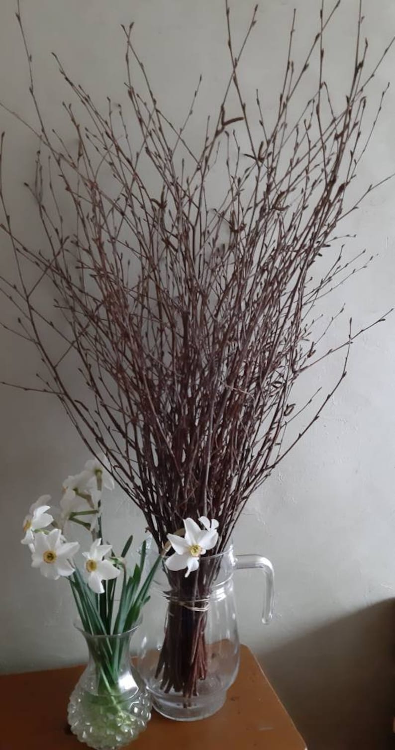 Birch Branches Twigs White Birch Easter Decor Wedding Birch Etsy