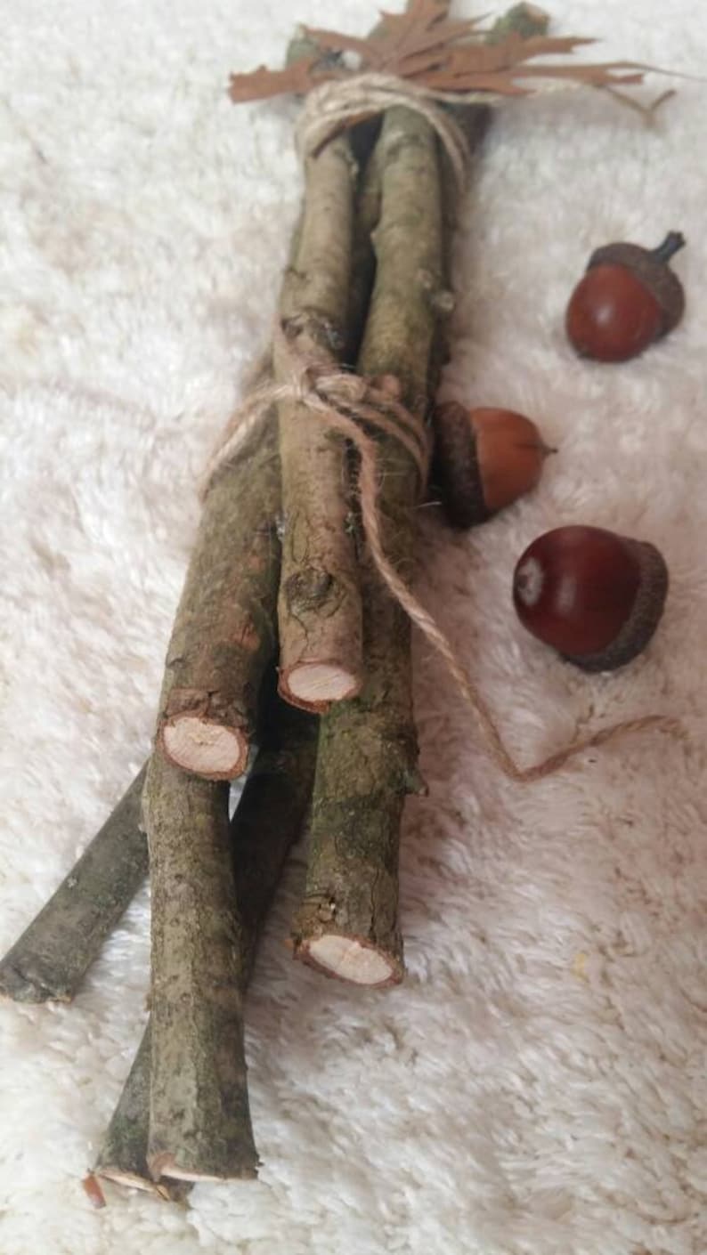 Oak branches wood branch natural oak tree twigs dried Etsy
