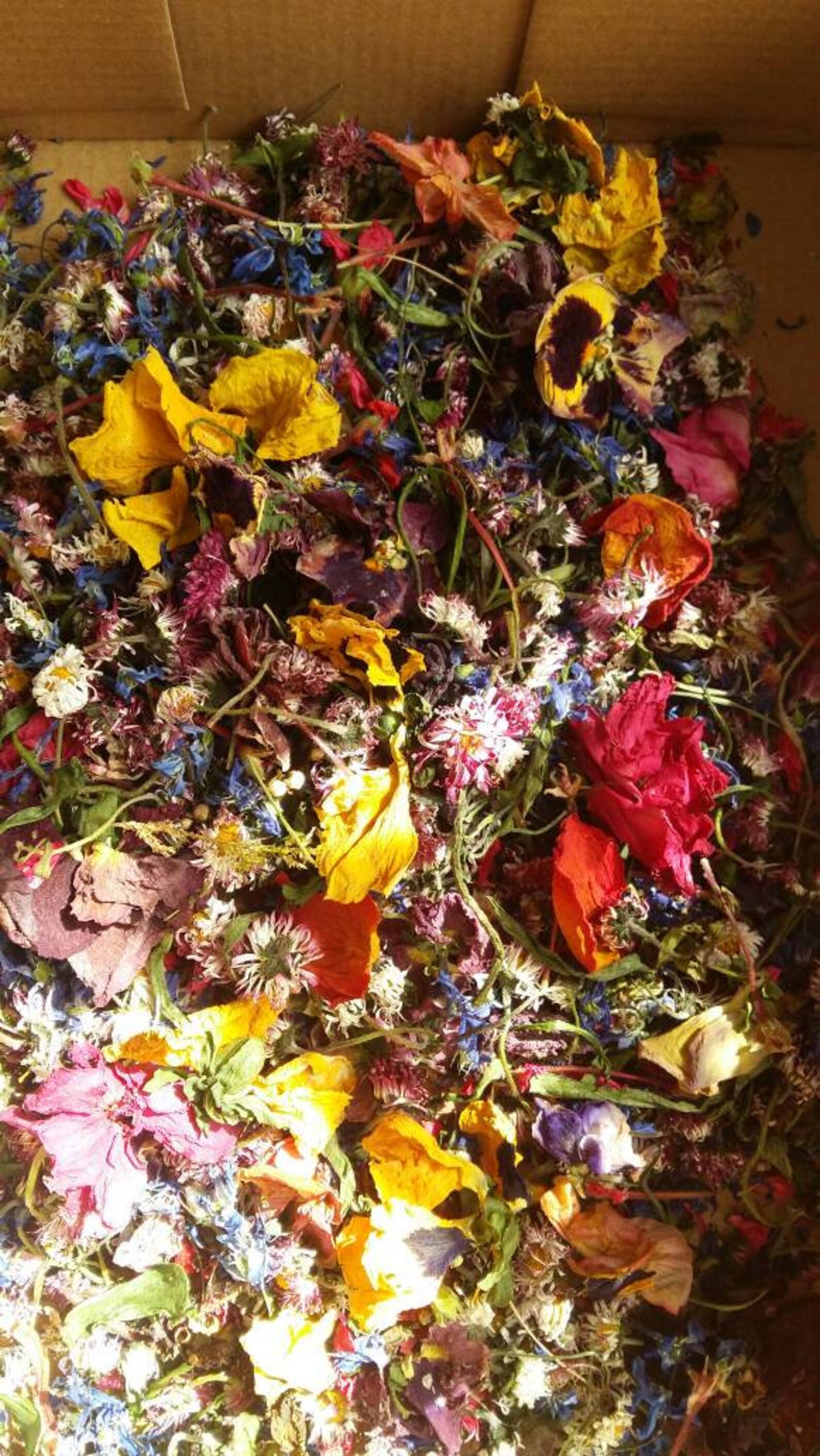 Echte Getrocknete Rosenblätter 100 G – Dunkelburgunderrot, Natürlicher Duft, Für Hochzeitskonfetti
