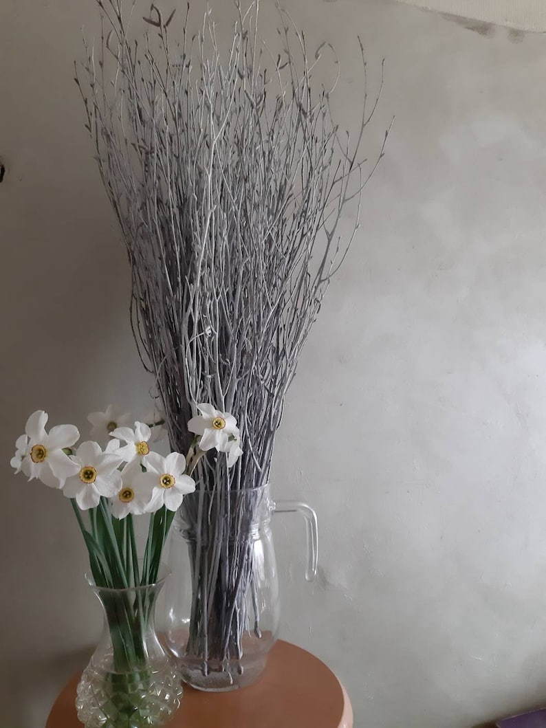 Natural Birch Branches Large Twigs 25 31 White Etsy