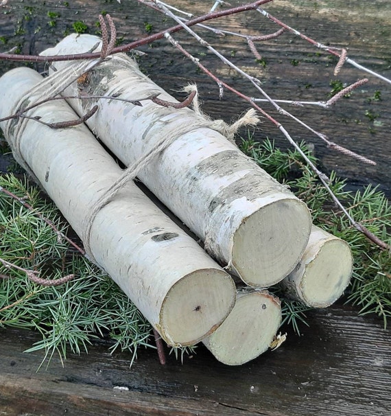 White Birch Branches Logs 8birch Firewood Birch Tree - Etsy Sweden